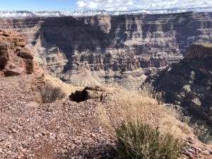 Grand Canyon Tour